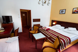 Hotel Petr Prague - Triple Room