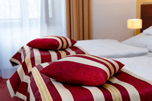 Hotel Petr Prague - Twin Room